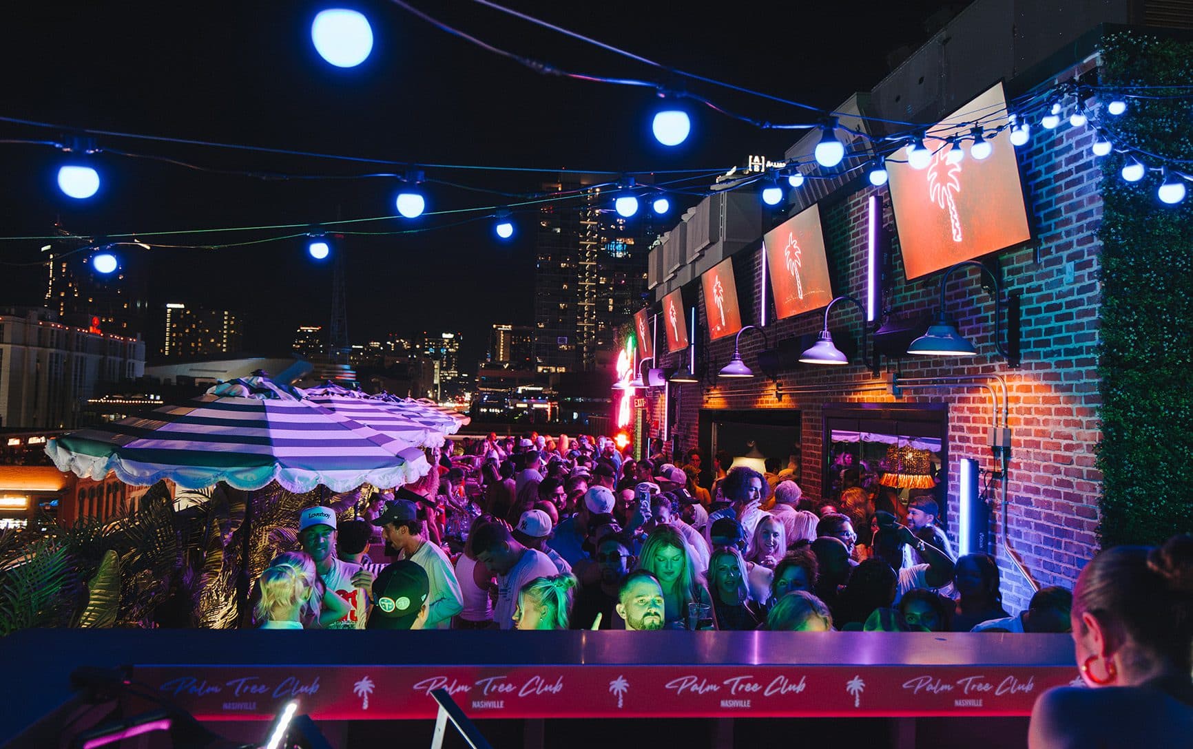 palm tree club rooftop